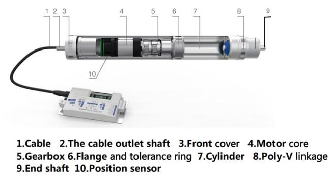 Motorized-Conveyor-Roller-Built-in-DC-Brushless-Gear-Motor-Structure