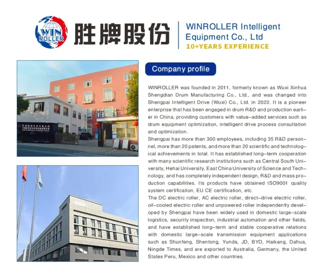 Winroller Dgdd67 DC Servo Brushless Hall Chip Motor Hot Sale Conveyor Drive Roller Used for Express Sorting Auto Parts