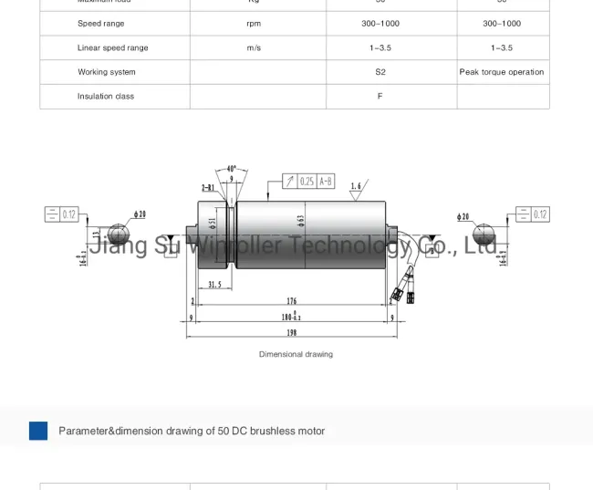 Winroller Motorized Pulley for Sorter Conveyor Hot Sale in Southeast Asia
