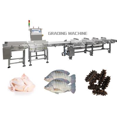 China SUS 316 Weight Sorting Machine For Seafood Fish Fruits Vegetables for sale