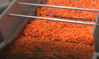 China Zanahoria que transporta los bolsos multi/H de la empaquetadora 2100 de la función para las mercancías de la agricultura en venta