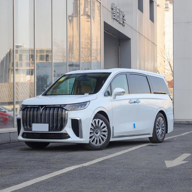 High Speed 2024 Voyah Dream Hybrid White Electric Auto Car MPV Vehicle