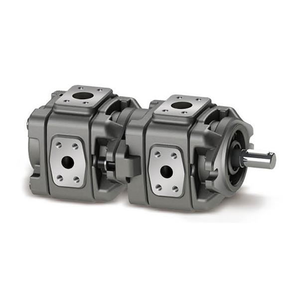 Quality Custom Hydraulic Gear Pump Vickers 5001454-006 GD520A121TCTCR20 for sale