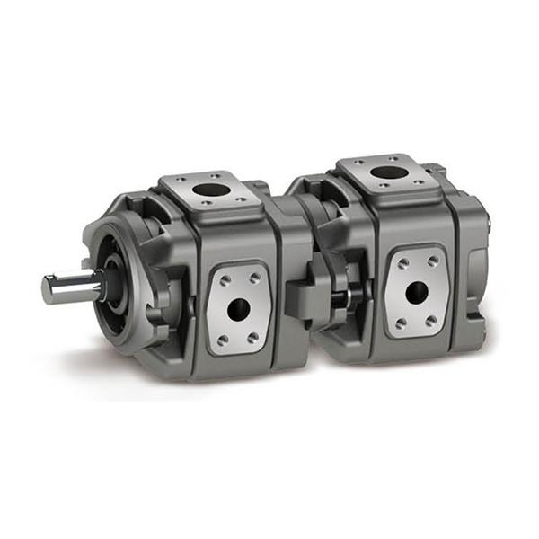 Quality Vickers 5001556-001 Magnetic Gear Pump GD51208A126FCTEFDTLL20IN218 for sale