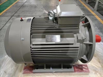 China IE5 3 Phase Motor Variable Speed AC Motor 2 Poles 4 Poles Low Maintenance for sale