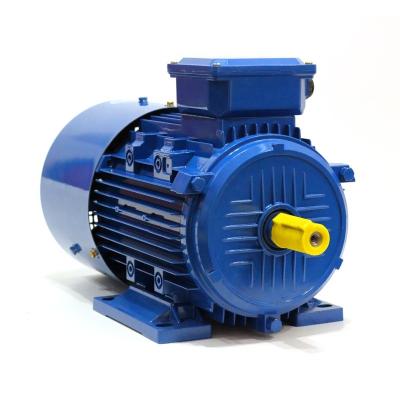 China Custom Permanent Magnet Gearless Motor Low Vibration Industrial AC Motor for sale