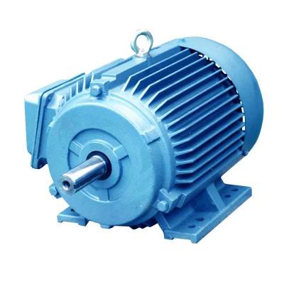 Китай мотора постоянного магнита 380V 690V мотор с жидкостным охлаждением AC внутреннего голубой продается