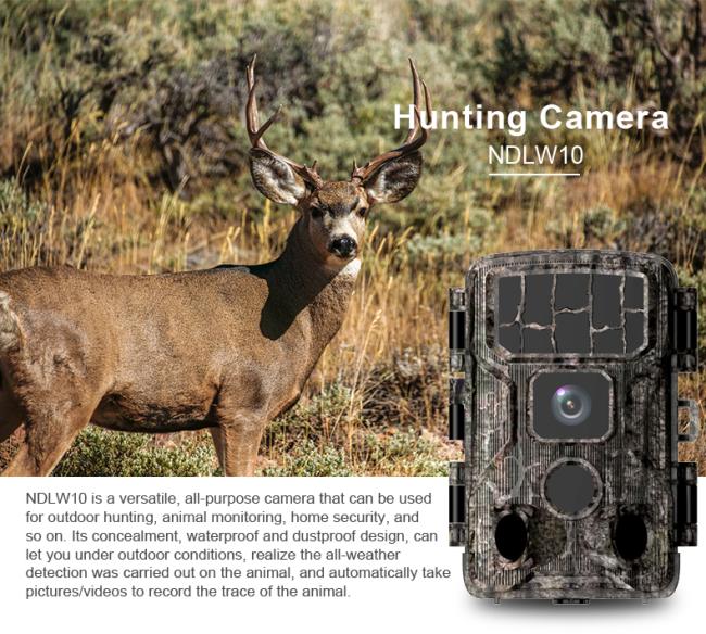 night vision hunting camera