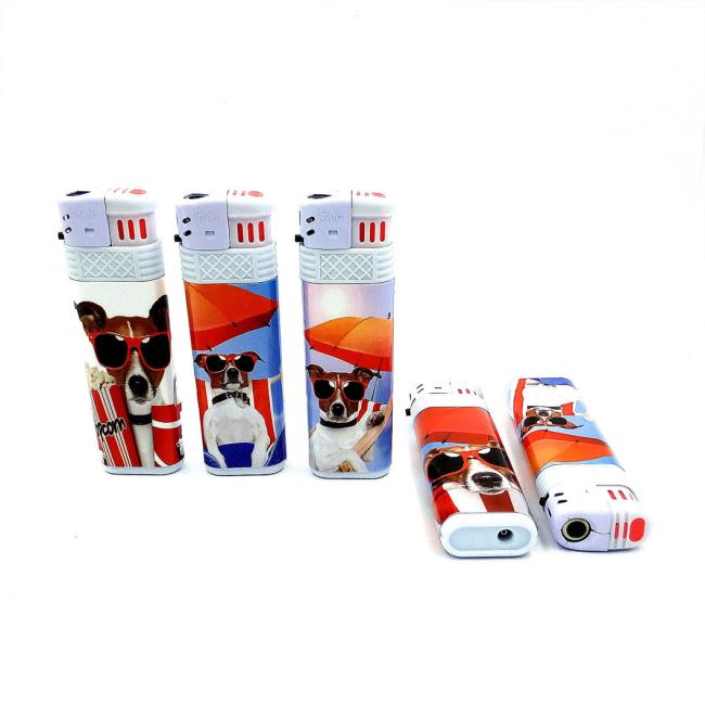 Dy-F016hot Selling Windproof Good Price Smoking Electric Lighter