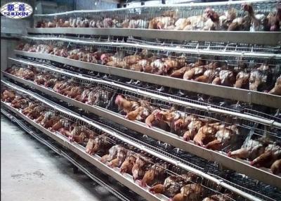 中国 4ウガンダの農場のための層の鶏のおり128の鶏容量寿命20年の 販売のため