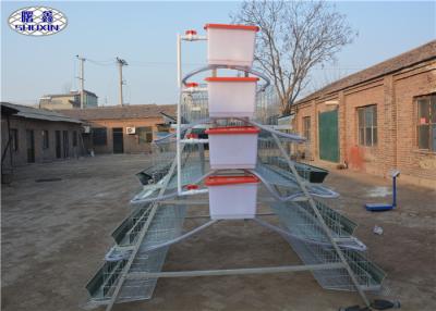 China Automatic Layer Chicken Cage Galvanized Feature A Type Design For Farm for sale