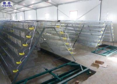 China 6 Floors Steel Quail Laying Cage / Automatic Wire Quail Laying Cages for sale