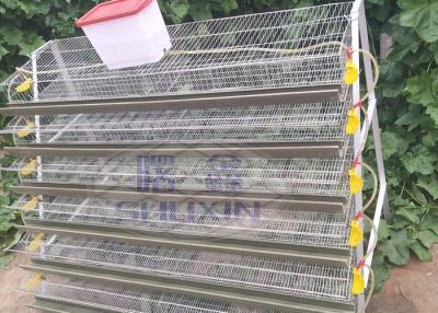 China Galvanized Commercial Quail Laying Cage , Quail Battery Cages Automatic Feeding for sale