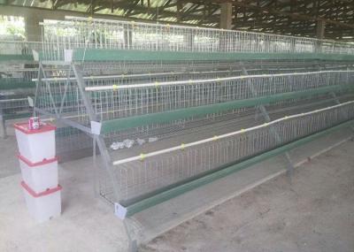 Chine Cage populaire de couche d'oeufs de poulet, système de cage de batterie pour le poulet de batterie à vendre