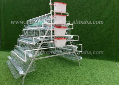 China Galvanised 24 Cells Poultry Chicken Cages Automatic Water System for sale