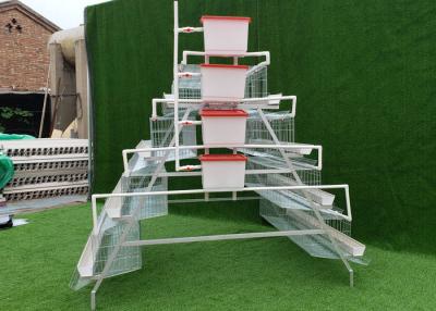 China Type A 160 Capacity Chicken Breeding Cages For Poultry for sale