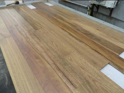 China Quality Matt Australian Spotted Gum Solid Timber Flooring , Tongue And Groove for sale