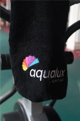 China Low Price Advertising Gym Towels with custom embroidery logo custom color 100% cotton 35X75CM hand towel for sale