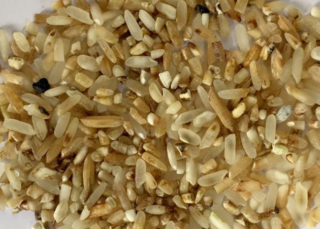 Hons S2 digital intelligent CCD rice color sorter machine with Large output in China