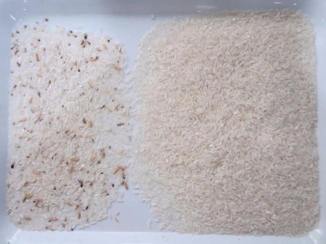 CCD Rice Color Sorter, Color Sorting Machine, Color Selector For Grain, Cereal, Wheat, Corn, Peanut,