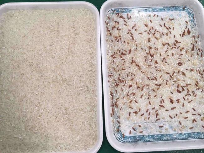 CCD Rice Color Sorter, Color Sorting Machine, Color Selector For Grain, Cereal, Wheat, Corn, Peanut,