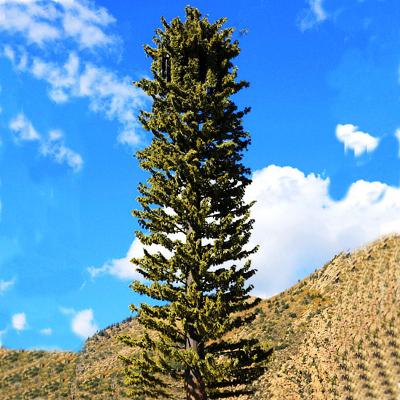 China Artificial Trees And Plants Communication Antennas Cell Towers 10-50m for sale