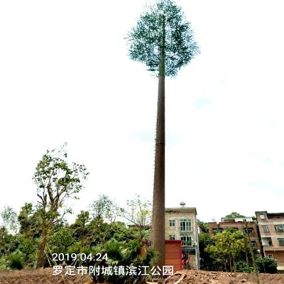 China 30m Camouflaged Telecom Antenna Tower Artificial Pine Tree Galvanized for sale