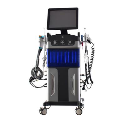 China Professional 12 in 1 Hydra Master Facial Care Skin Polishing hydro dermabrasion machine for sale