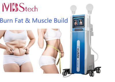 China Build Muscle Burn Fat Muscle Stimulation Body EMShape Ems Culpt Machine for sale