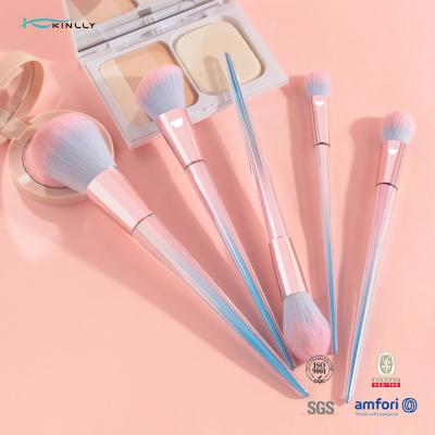 China 5pcs Cosmetic Makeup Brush Sets Synthetic Hair Plastic Handle OEM ODM for sale