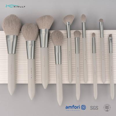 China Sistema de cepillo de lujo nano del maquillaje del OEM 10PCS para la cara en venta