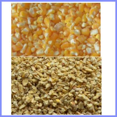 China maize germ remover machine, corn degerminator for sale