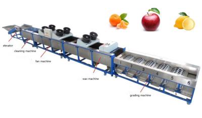 China apple cleaning drying grading machine, apple sorting machine, lemon grading machine for sale