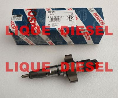 China BOSCH Fuel injector 445120054 0445120054 0 445 120 054 0445 120 054 for IVECO 504091504 CASE NEW HOLLAND 2855491 for sale