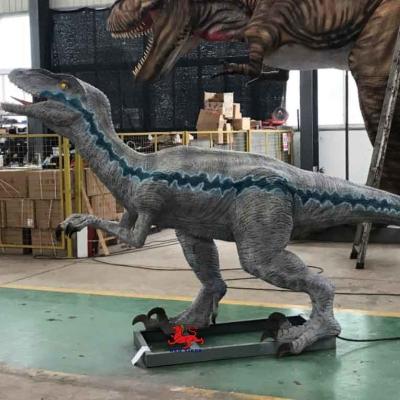 China Life Size Realistic Animatronic Dinosaur Velociraptor Model Theme Park Dinosaur for sale