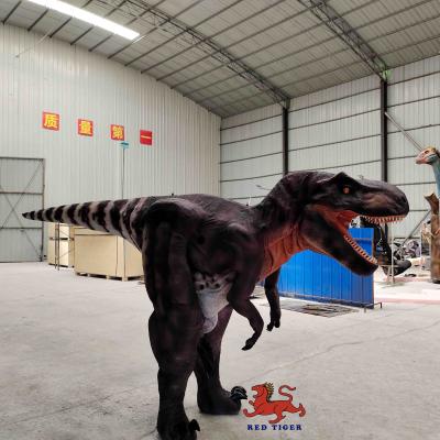 China Customized Real Life T Rex Costume , Indoor Tyrannosaurus Suit for sale