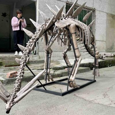 China Exhibition Jurassic Park Dinosaur Skeleton , Dinosaur Bone Replicas for sale