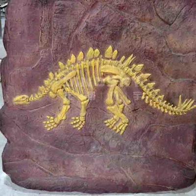 China Handmade Museum Dinosaur Replicas , Dino Skull Replica Youth Age for sale