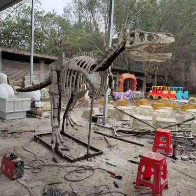 China Outdoor / Indoor Life Size Dinosaur Skull Replica , Dinosaur Fossil Replicas for sale