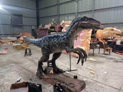 China Park Realistic Animatronic Dinosaur Raptor Lifelike for sale