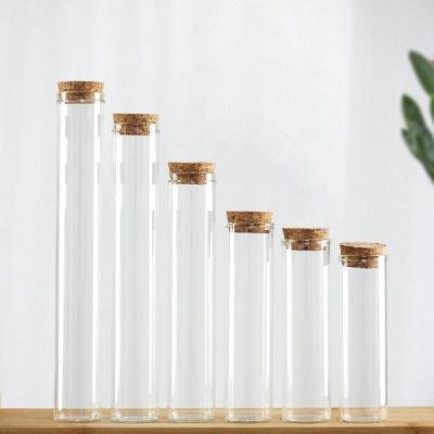China Multi Size Transparent Glass Tube Professional Test Tube Bottle With Cork Lid for sale
