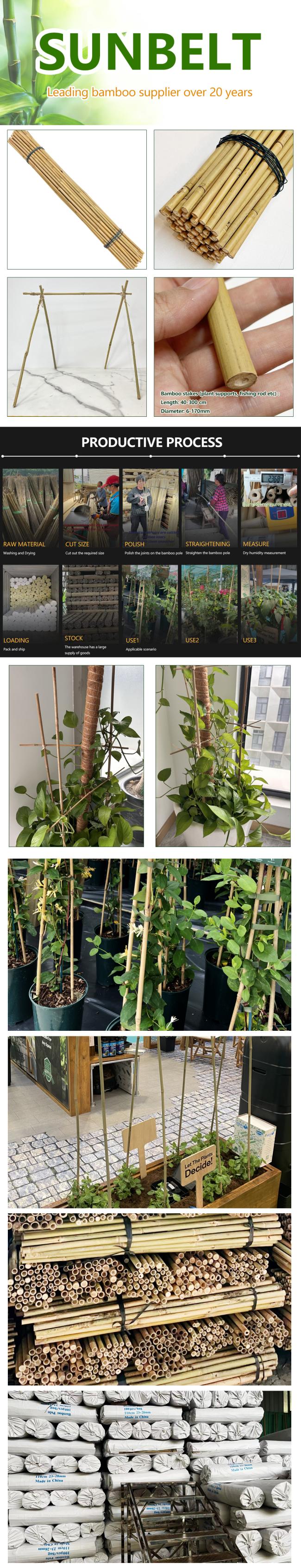 Natural Bamboo Pole 45cm-600cm for Garden Plant Support 0