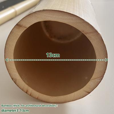 China Yellow Nature Raw Outdoor Bamboo Poles Dry Bamboo Poles 2m 3m 4m for sale