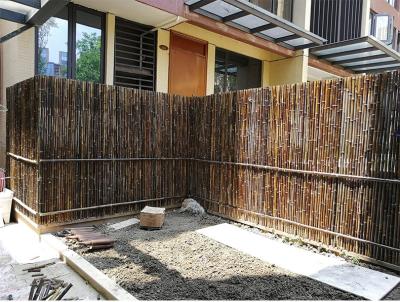 China 2x1.5m Bamboo Screen Fencing Bamboo Paneling Backyard Decotative Home Garden for sale