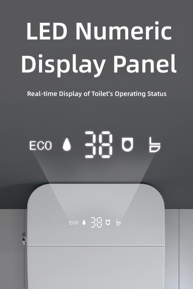 Luxury Smart Intelligent Toilet Ceramic Multi Functions Built In Water Tank Auto Flush