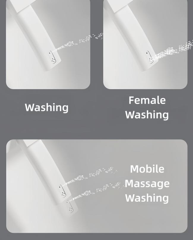 Luxury Smart Intelligent Toilet Ceramic Multi Functions Built In Water Tank Auto Flush