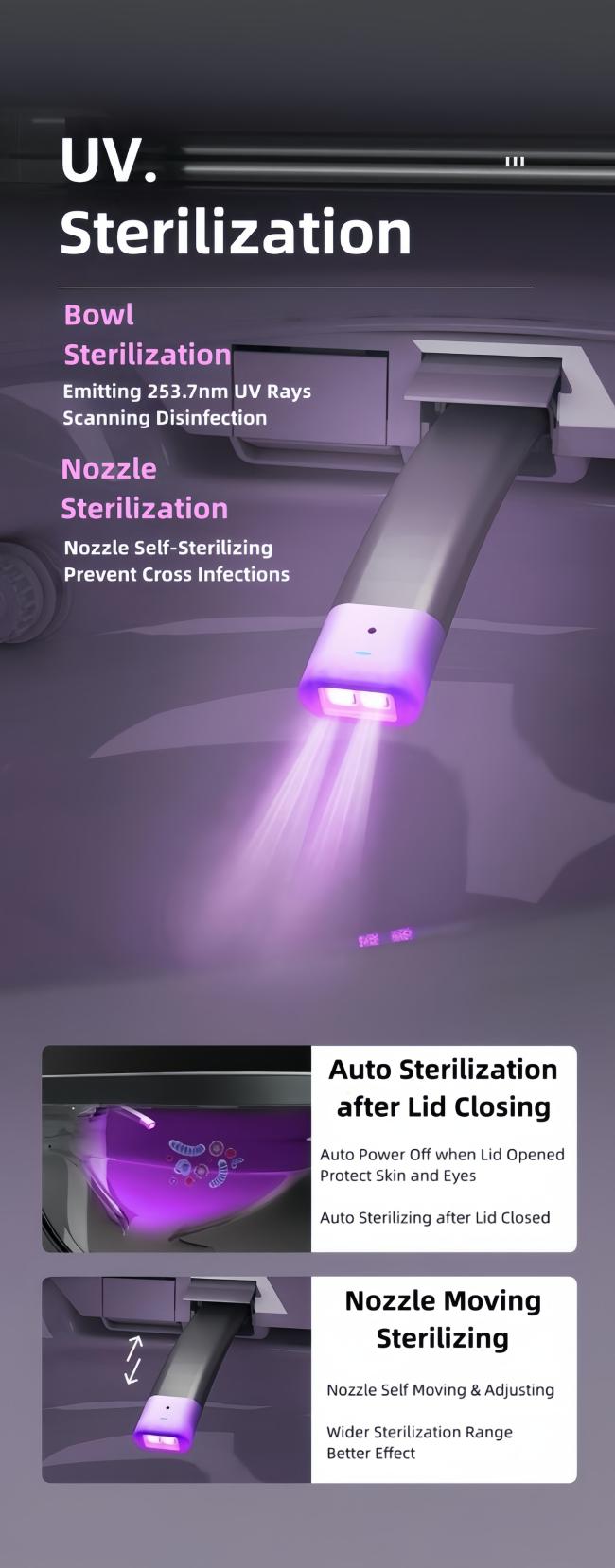 Luxury Smart Intelligent Toilet Ceramic Multi Functions Built In Water Tank Auto Flush