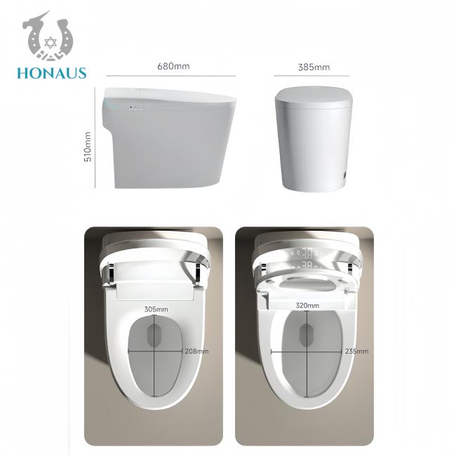 Luxury Smart Intelligent Toilet Ceramic Multi Functions Built In Water Tank Auto Flush