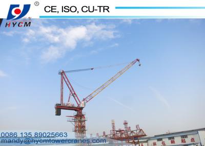 China ISO CE Confirmed 12Ton D5030 Luffing Tower Crane for Construction Buildings for sale