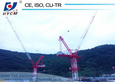 China Huge D5020 50M Boom Jib Luffing Crane Tower 10tons Load Split Mast Section to Save Containers for sale